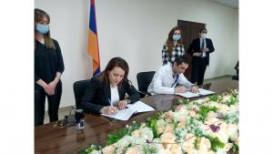 Նյութի նկարը