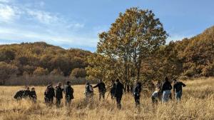 Նյութի նկարը