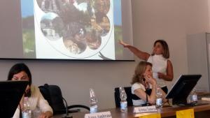 Նյութի նկարը