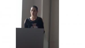 Նյութի նկարը