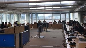 Նյութի նկարը