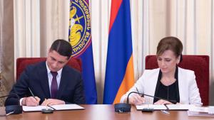 Նյութի նկարը