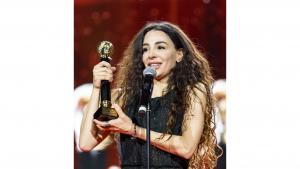 Նյութի նկարը