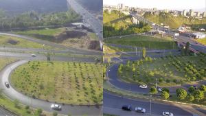 Նյութի նկարը