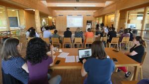 Նյութի նկարը