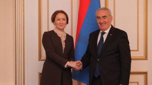 Նյութի նկարը