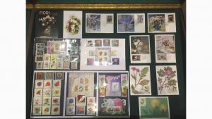 Նյութի նկարը