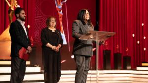 Նյութի նկարը