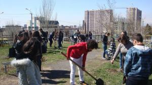 Նյութի նկարը