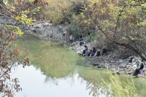 Նյութի նկարը