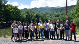 Նյութի նկարը