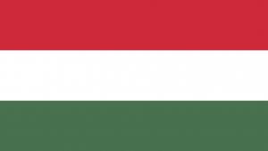 Նյութի նկարը