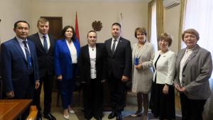 Նյութի նկարը