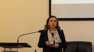 Նյութի նկարը