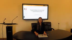 Նյութի նկարը