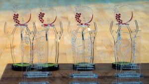 Նյութի նկարը