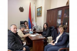 Նյութի նկարը