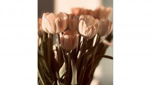 Նյութի նկարը