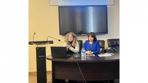 Նյութի նկարը