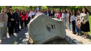 Նյութի նկարը