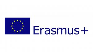 Նյութի նկարը