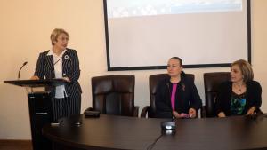 Նյութի նկարը