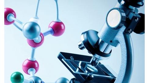 Նյութի նկարը