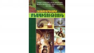 Նյութի նկարը