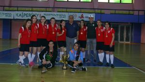 Նյութի նկարը