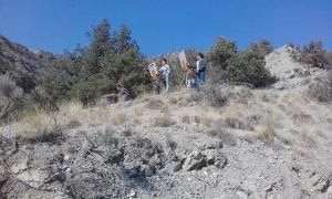 Նյութի նկարը