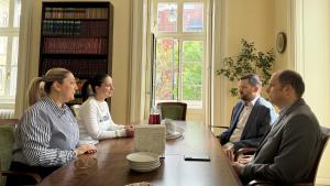 Նյութի նկարը