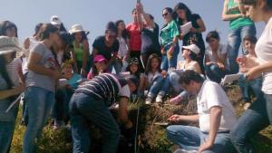 Նյութի նկարը