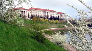 Նյութի նկարը